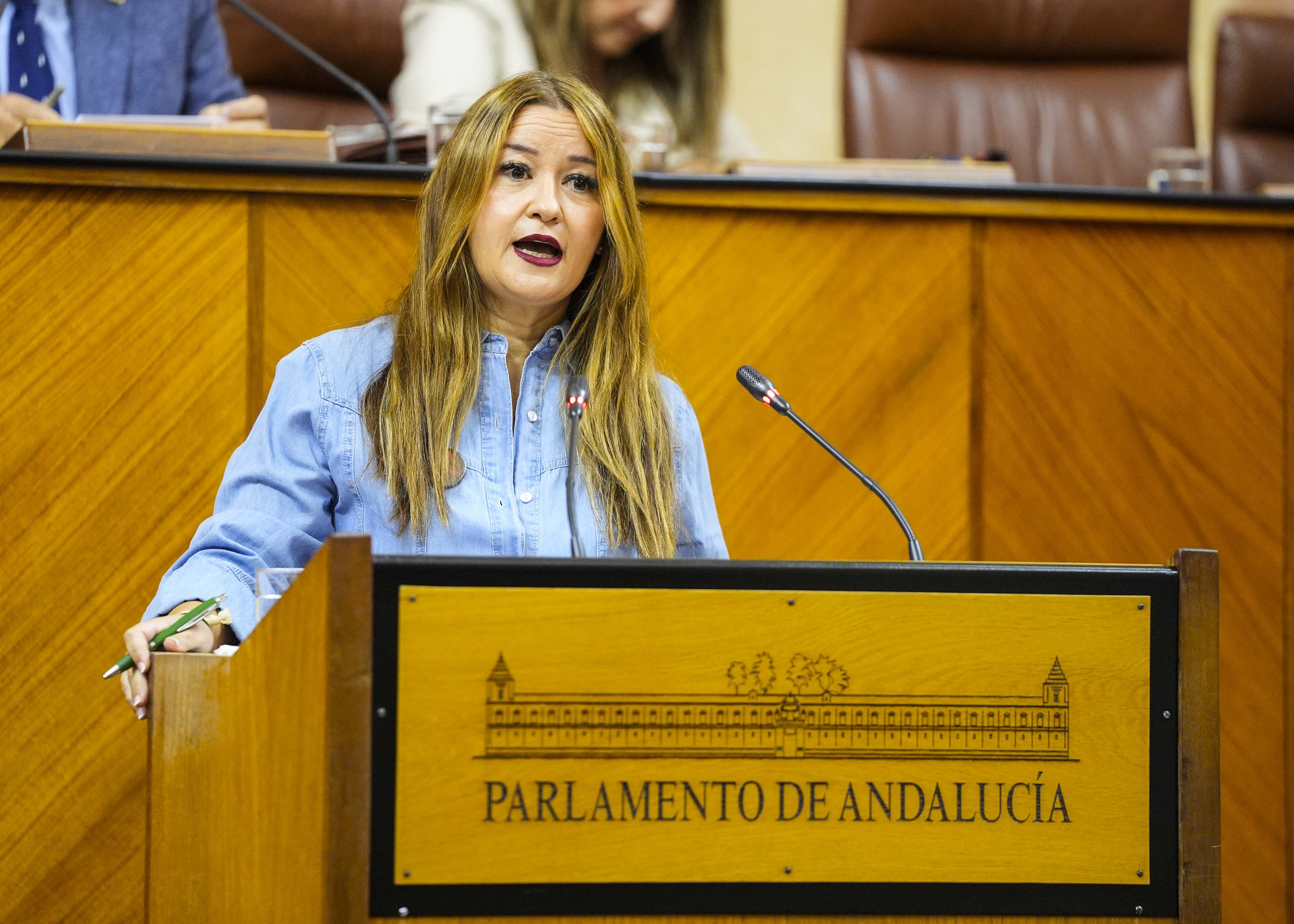 Ver�nica P�rez, del G.P. Socialista, reanuda la sesi�n plenaria con una moci�n relativa a pol�tica general en materia de vivienda 
