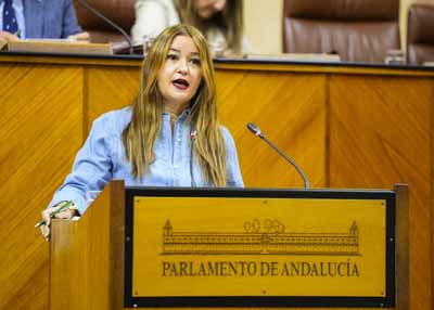 Ver�nica P�rez, del G.P. Socialista, reanuda la sesi�n plenaria con una moci�n relativa a pol�tica general en materia de vivienda 