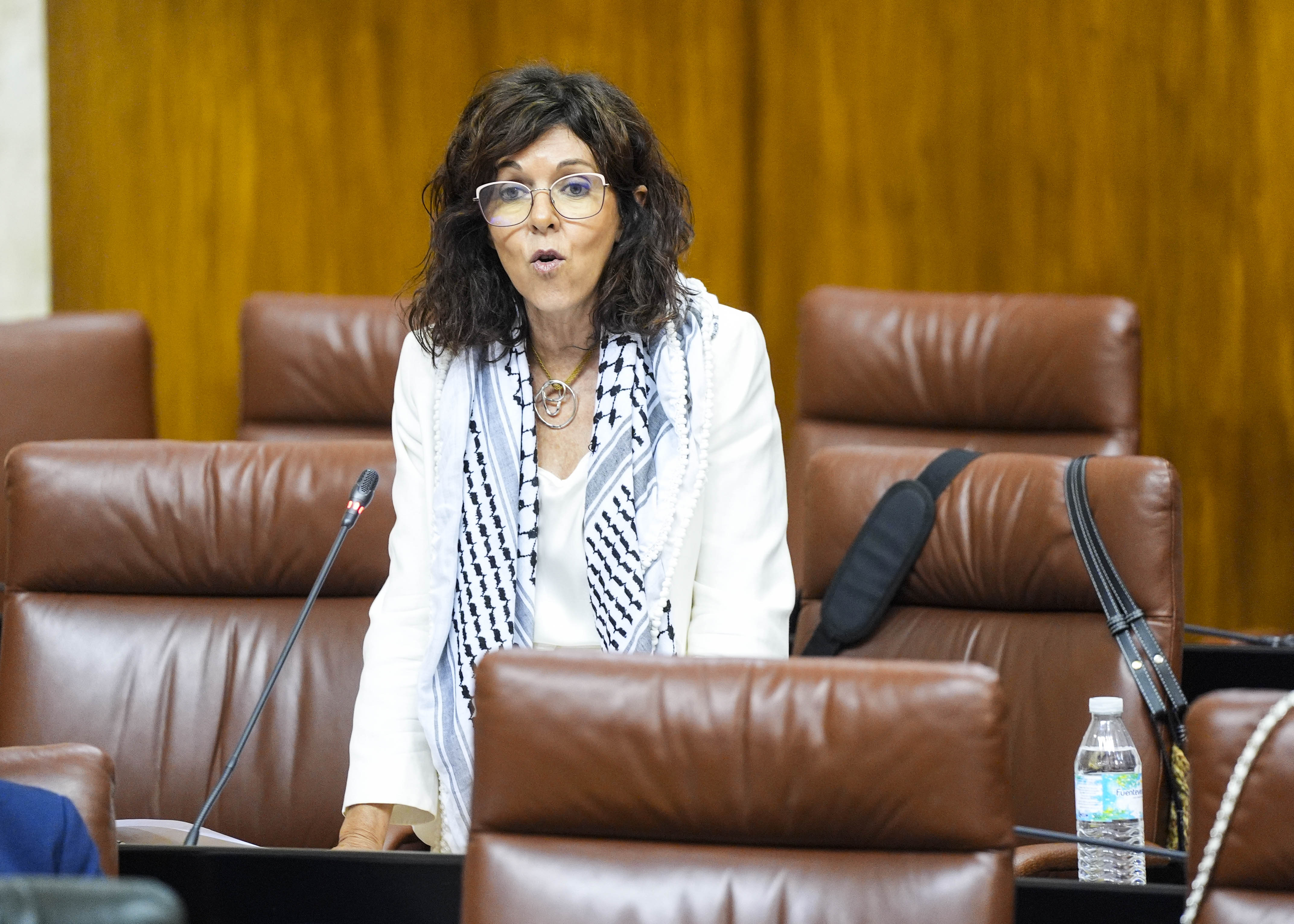 Mar�a �ngeles Prieto, del G.P. Socialista, pregunta sobre la veracidad en las listas de espera del SAS