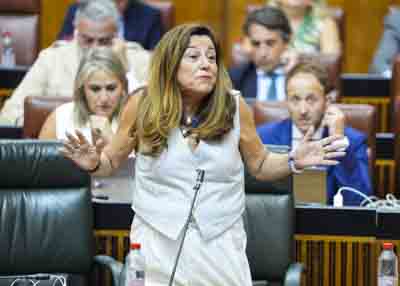 Mar�a del Carmen Castillo, consejera de Desarrollo Educativo y Formaci�n Profesional, responde a la pregunta 