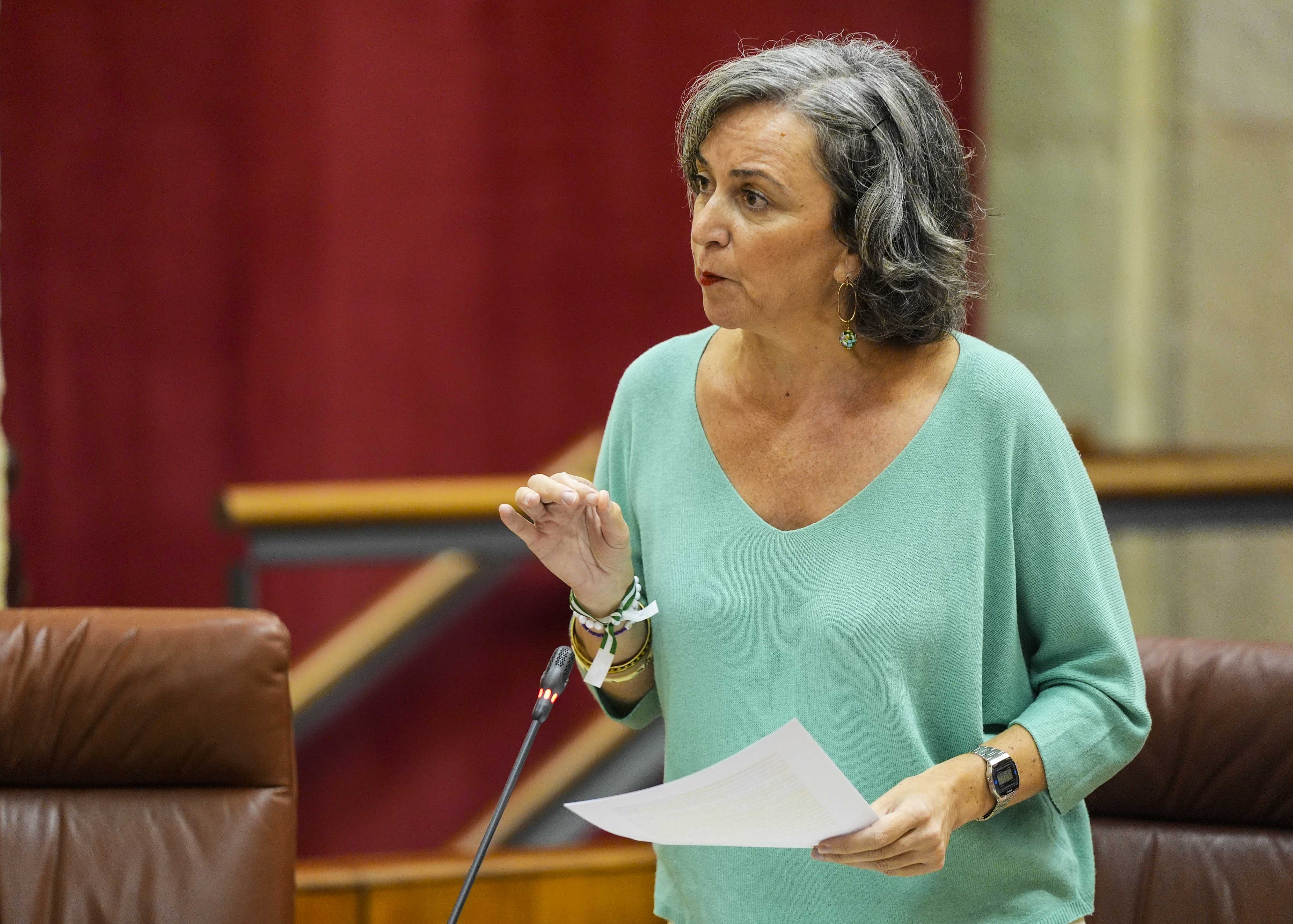 Miren Bego�e Iza, del G.P. Mixto-Adelante Andaluc�a, formula una pregunta de m�xima actualidad relativa a la planta de biog�s de �cija