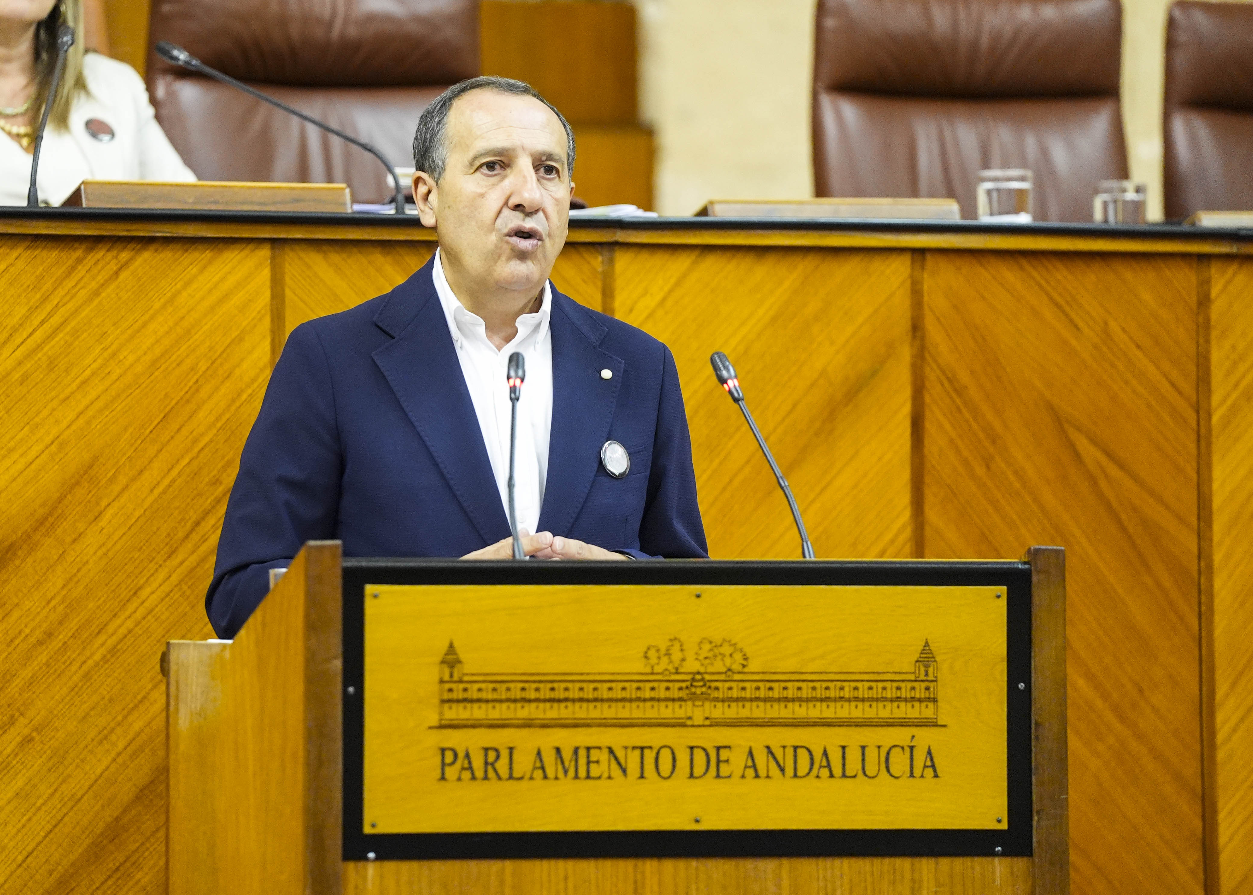 Jos� Luis Ruiz, del G.P. Socialista, presenta una PNLP relativa a la mejora de las condiciones laborales de las trabajadoras del Servicio de Ayuda a Domicilio en Andaluc�a