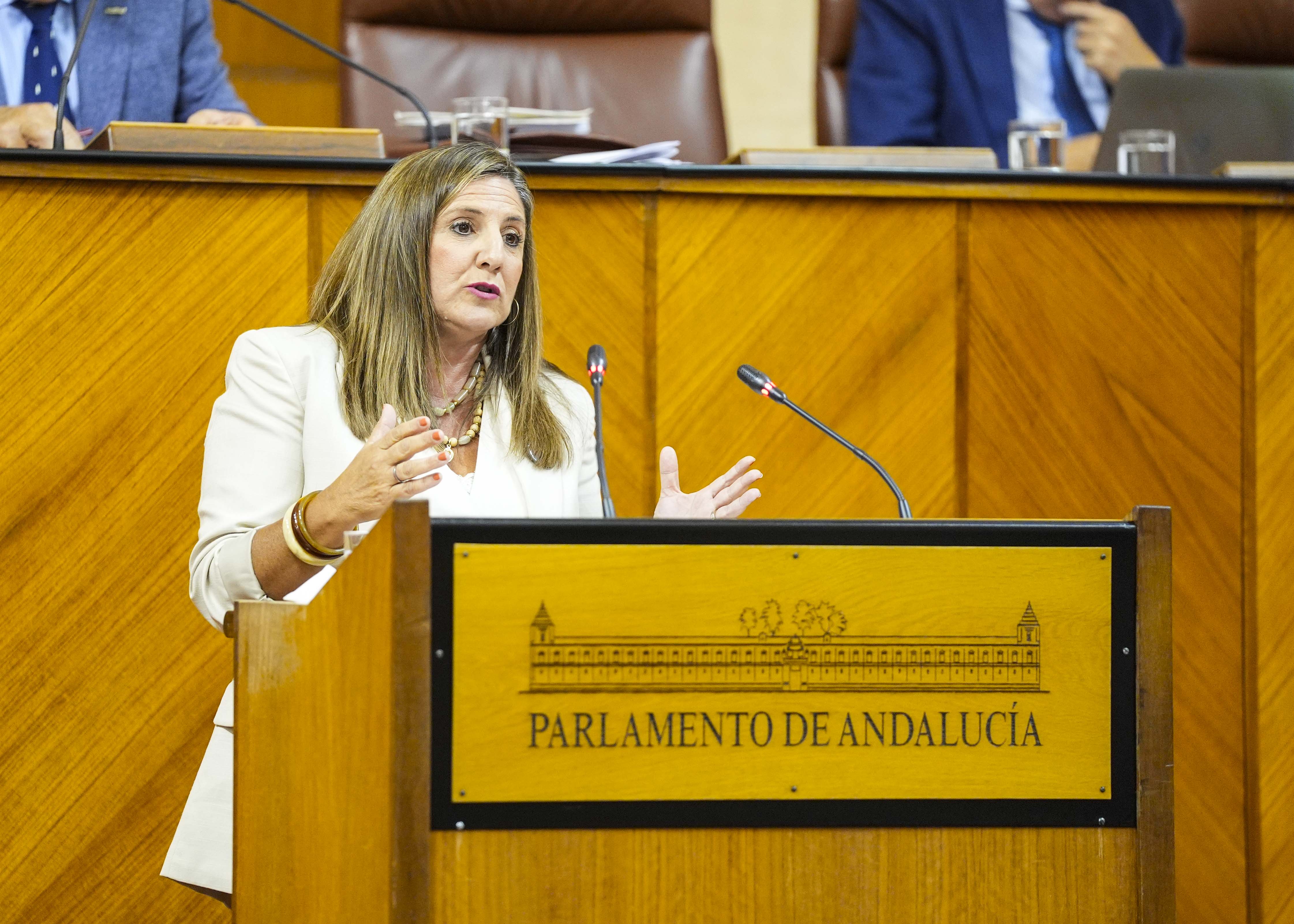 Irene Garc�a, del G.P. Socialista, presenta una proposici�n no de ley relativa a la construcci�n del nuevo hospital de C�diz 