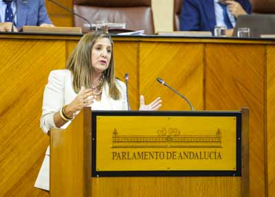 Irene Garc�a, del G.P. Socialista, presenta una proposici�n no de ley relativa a la construcci�n del nuevo hospital de C�diz 