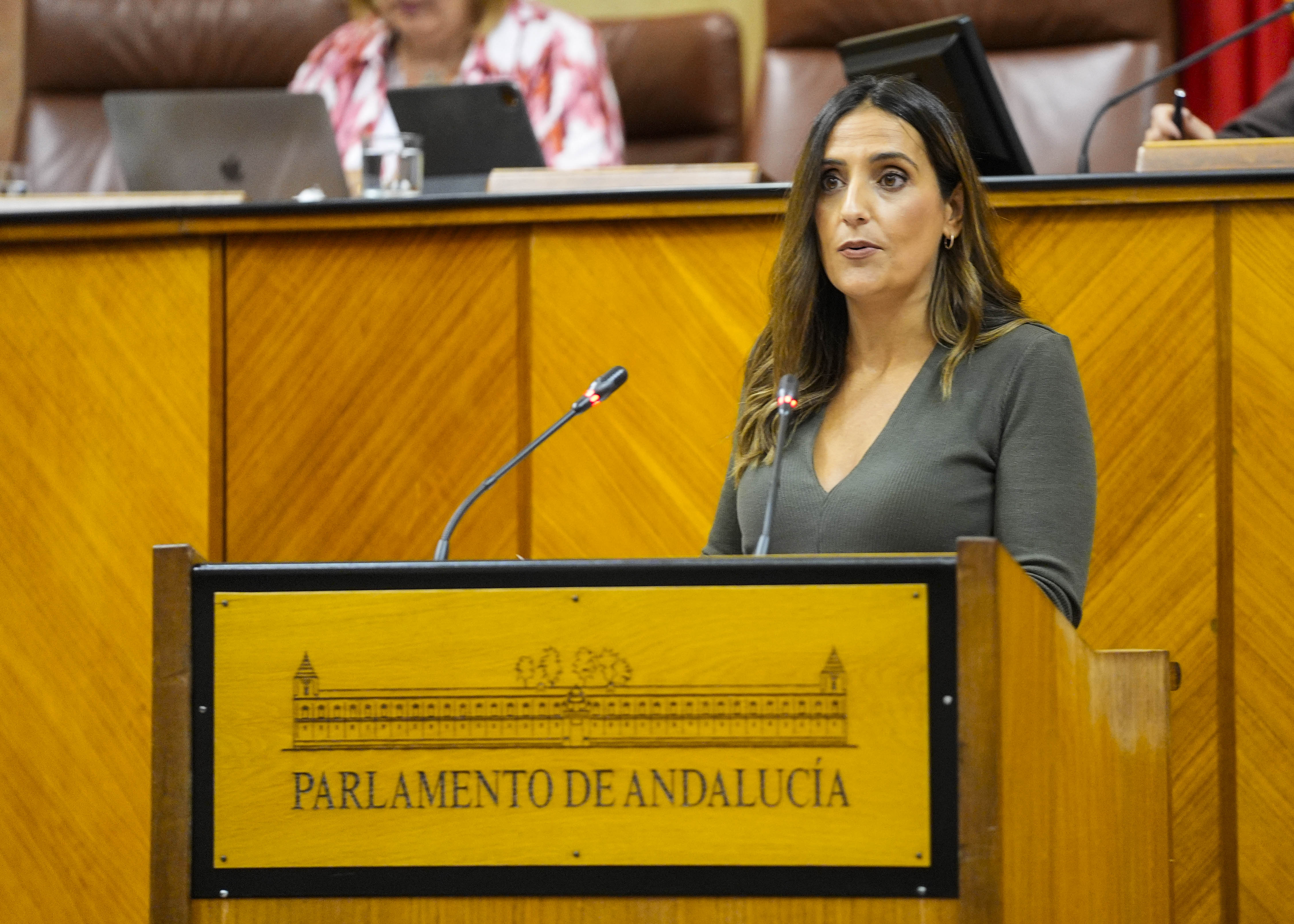 A propuesta del G.P. Popular, Mar�a Beatriz Jurado argumenta una PNLP sobre la mejora de la gesti�n ferroviaria e infraestructuras pendientes en Andaluc�a 