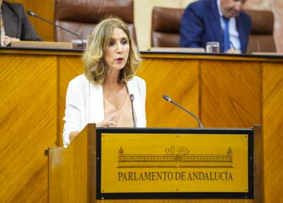  Julia Ib��ez, del G.P. Popular, defiende una PNLP relativa a las necesidades inaplazables en el sector energ�tico por la deficiente gesti�n del Gobierno de Espa�a en planificaci�n, inversi�n y gesti�n en sus competencias reservadas
