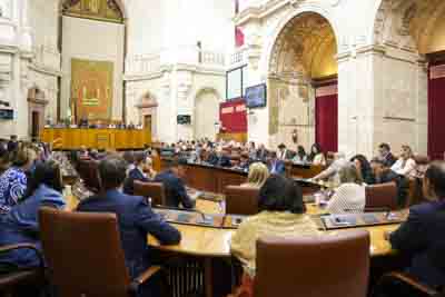  Imagen del plenario durante una de las votaciones 