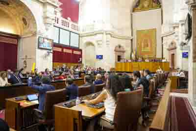 Los diputados del Parlamento de Andaluc�a votan una de las iniciativas tras finalizar el orden del d�a de la sesi�n plenaria  