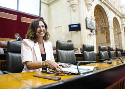 La consejera de Fomento, Articulacin del Territorio y Vivienda, Roco Daz, antes del inicio del pleno 