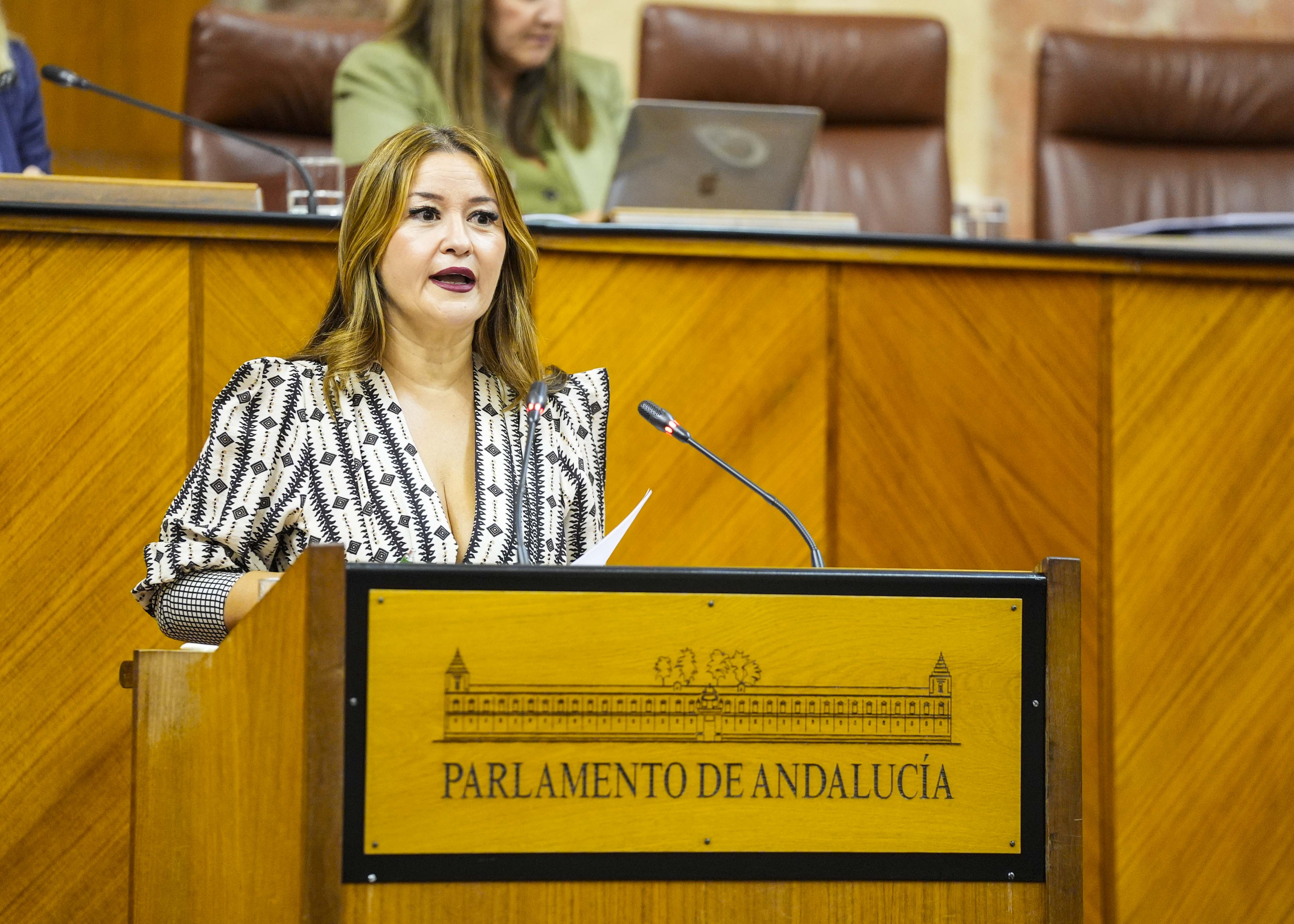 En nombre del G.P. Socialista, la diputada Vernica Prez interviene en el debate de totalidad 