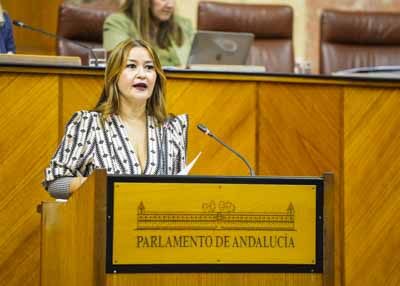 En nombre del G.P. Socialista, la diputada Vernica Prez interviene en el debate de totalidad 