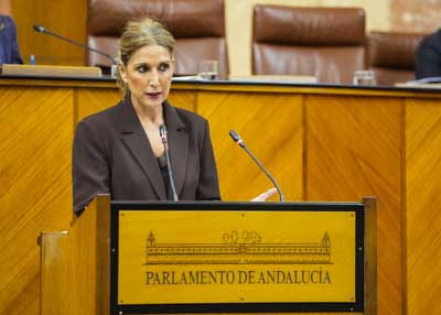 La diputada del Grupo Popular Julia Ibez toma la palabra en nombre de su grupo 