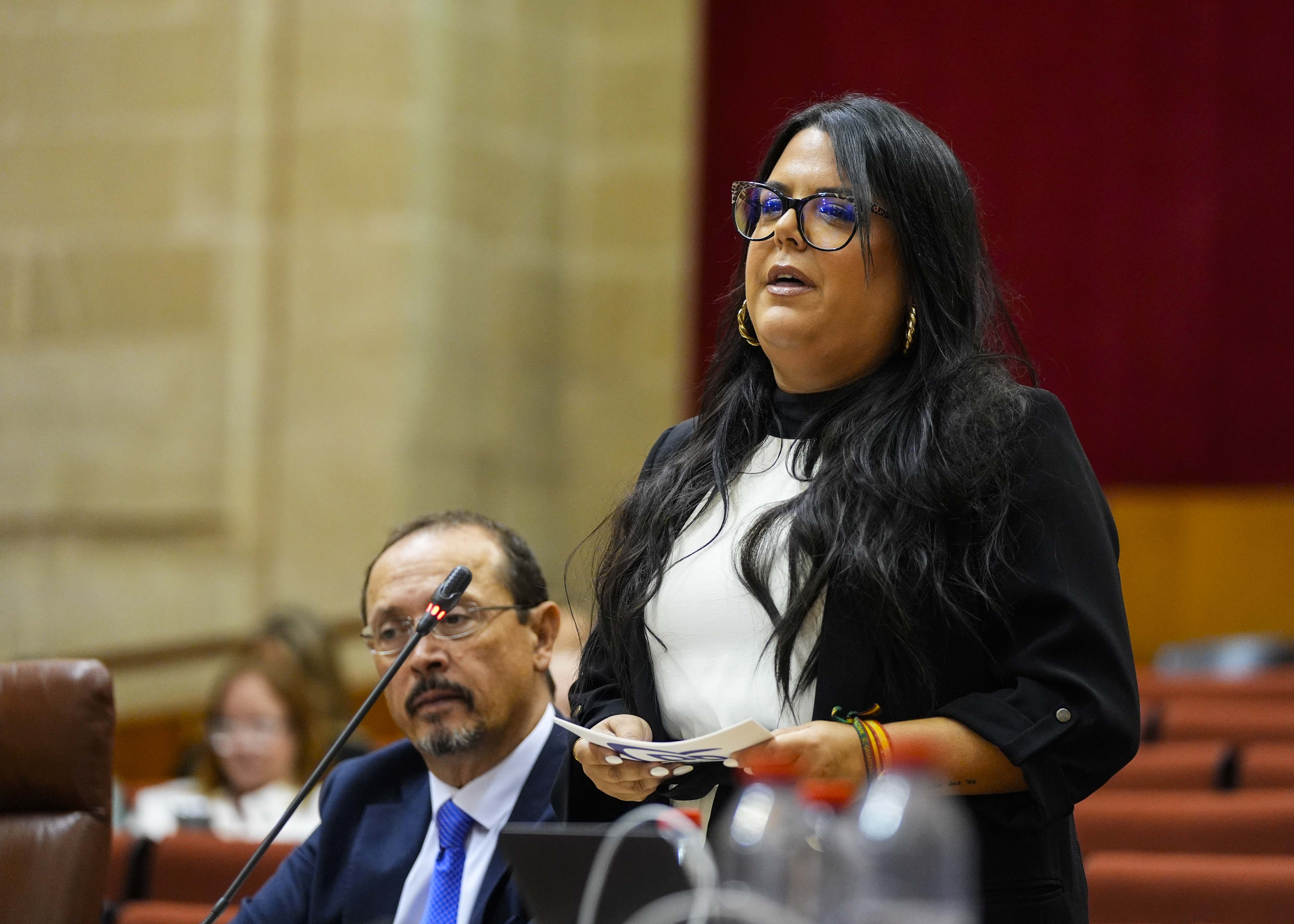   La diputada del Grupo Popular Mnica Morales inicia la sesin de control al Ejecutivo con una cuestin relativa a seguridad de los andaluces