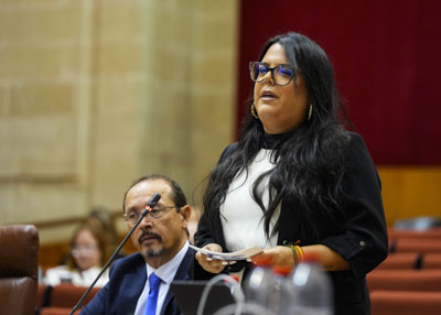   La diputada del Grupo Popular Mnica Morales inicia la sesin de control al Ejecutivo con una cuestin relativa a seguridad de los andaluces