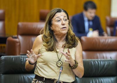 Mara del Carmen Castillo, consejera de Desarrollo Educativo y Formacin Profesional, responde a la pregunta 