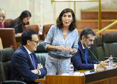Roco Blanco, consejera de Empleo, Empresa y Trabajo Autnomo, da respuesta a la cuestin 