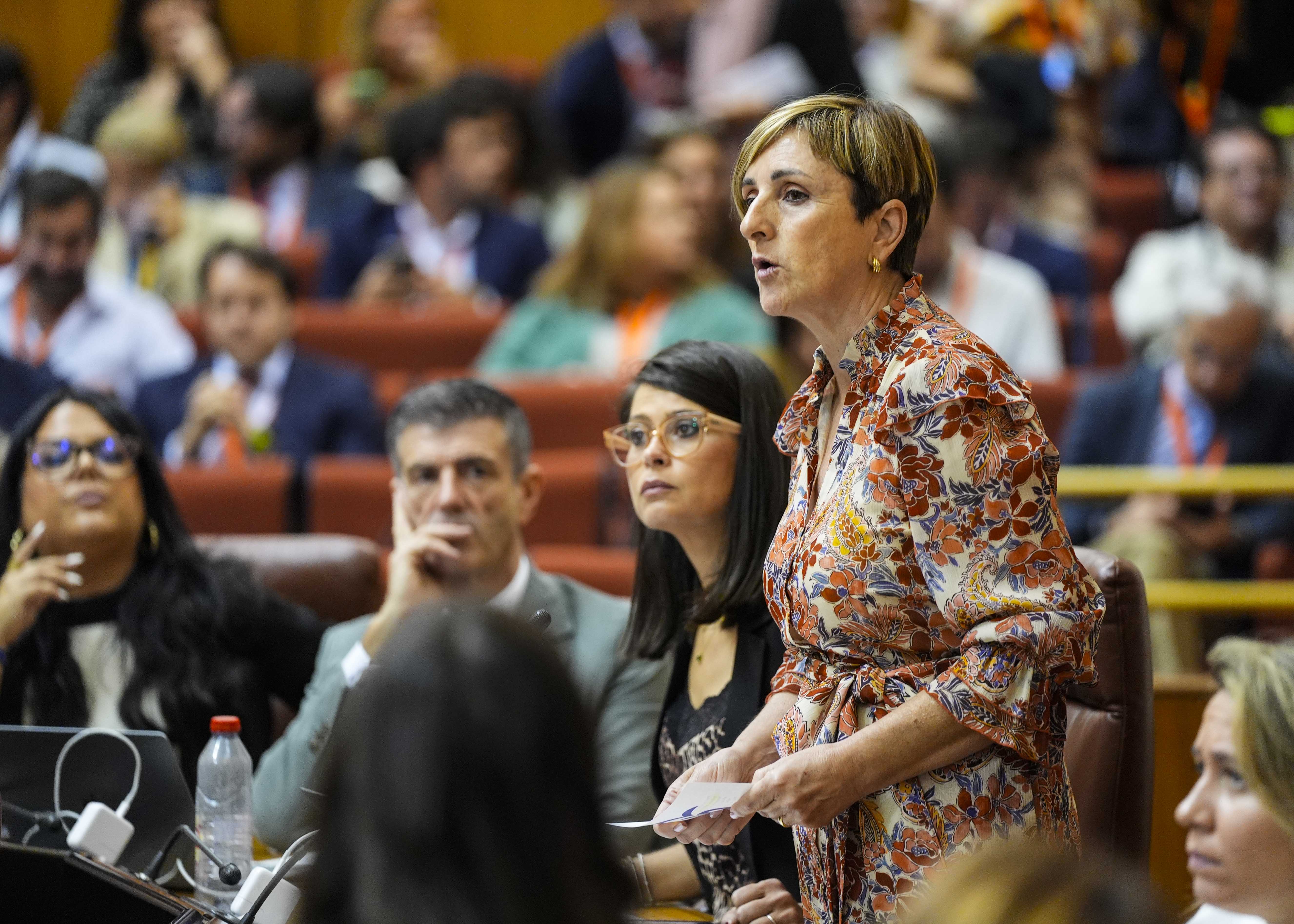  Mara Jos Escarcena, del G.P. Popular de Andaluca, pregunta al consejero de Justicia sobre la implantacin de la fase II de la LOESPJ