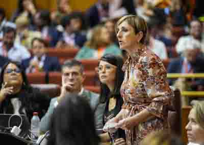  Mara Jos Escarcena, del G.P. Popular de Andaluca, pregunta al consejero de Justicia sobre la implantacin de la fase II de la LOESPJ