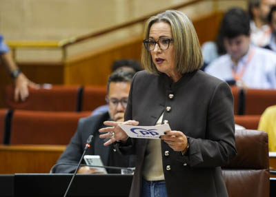  Por el Grupo Popular, la diputada Susana Gonzlez se interesa por el Proyecto Eremita