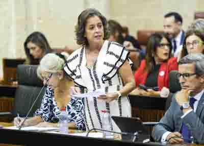  Contesta a la cuestin la consejera de Sostenibilidad y Medio Ambiente, Catalina Garca