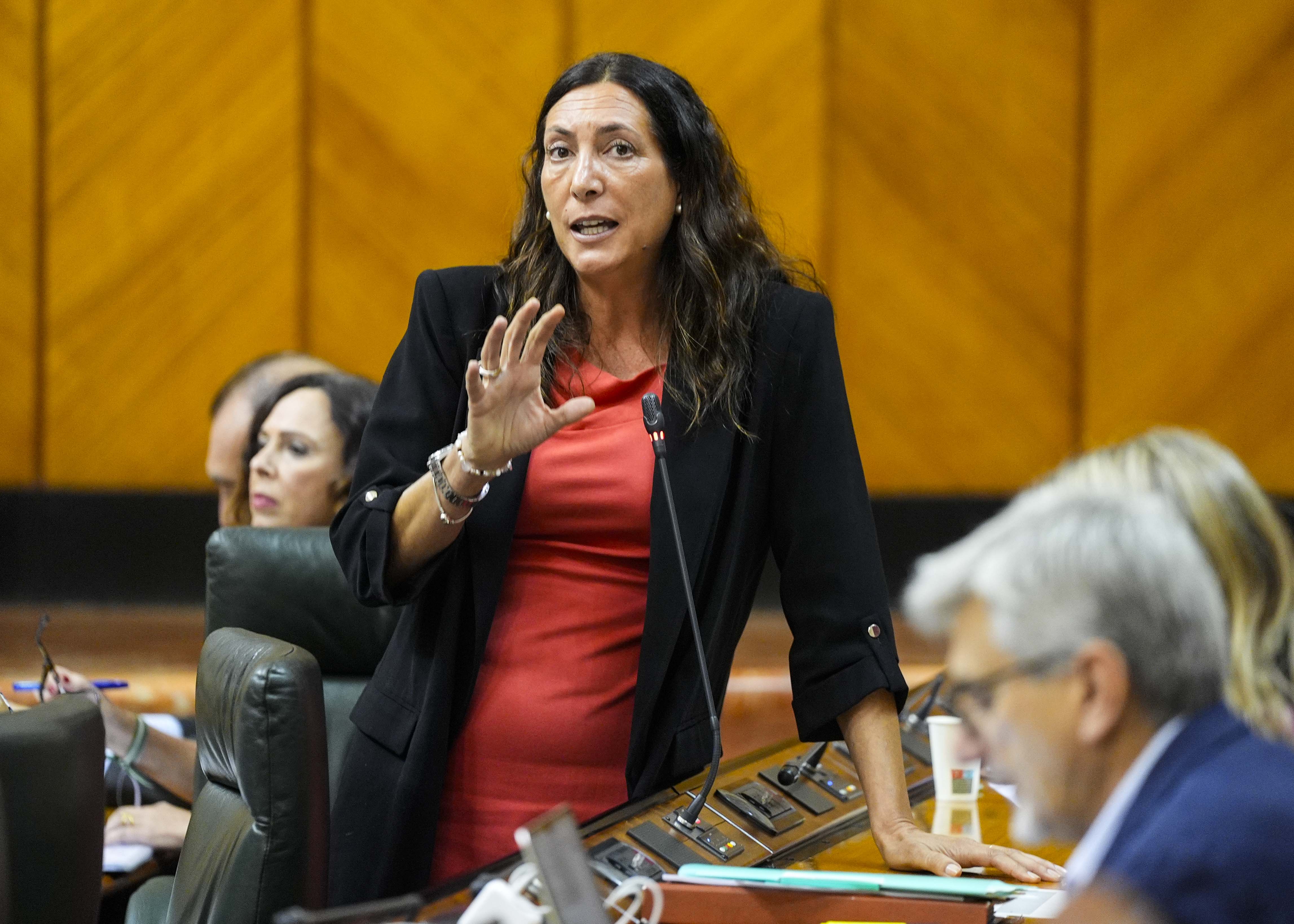  Loles Lpez, consejera de Inclusin Social, Juventud, Familias e Igualdad, contesta