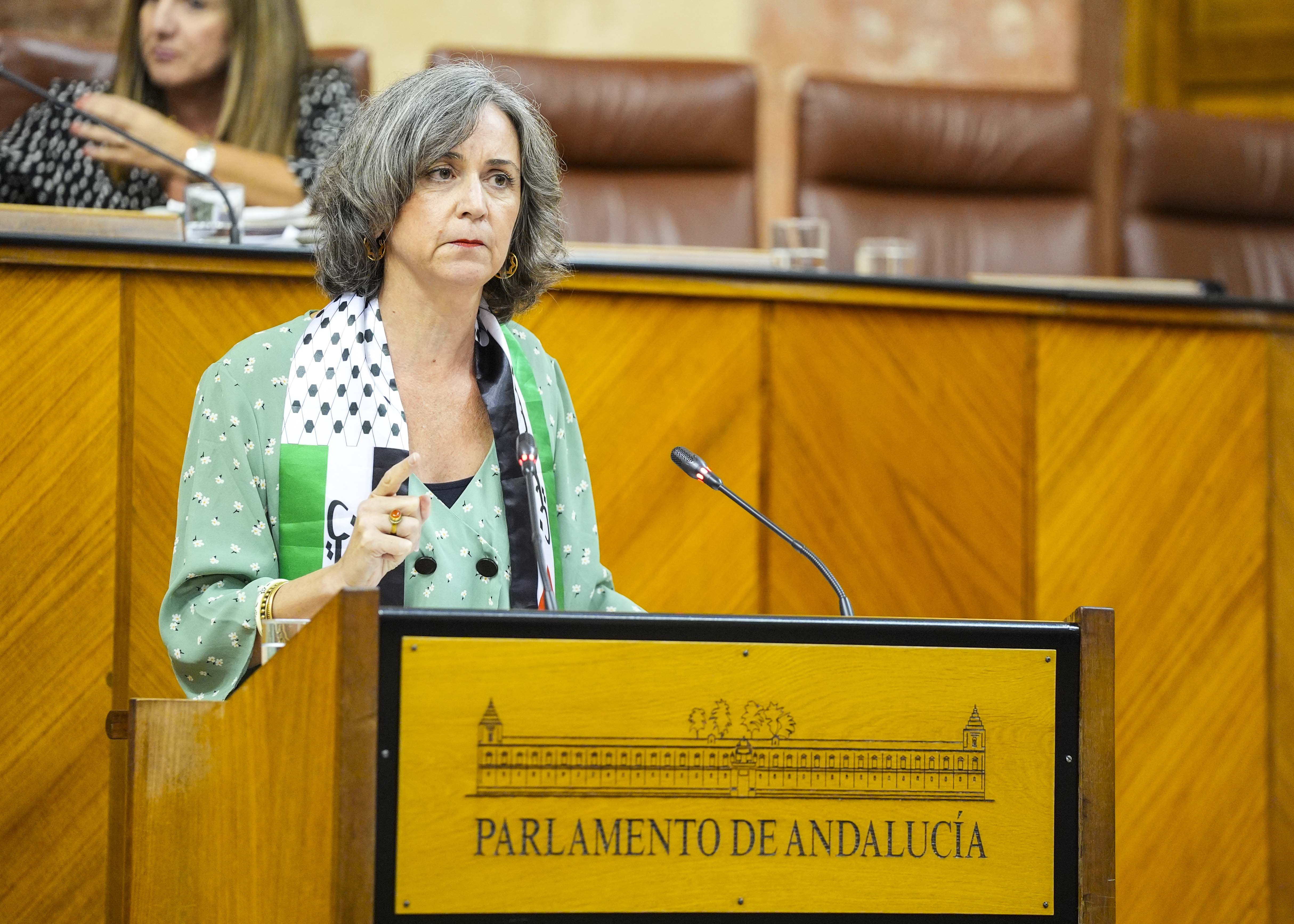  Miren Begoe Iza, presidenta del G.P. Mixto-Adelante Andaluca, presenta ante el Pleno una PNL relativa a defensa del pueblo palestino ante el genocidio y por el fin del reconocimiento del Estado de Israel