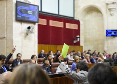 Momento de las votaciones de una de las iniciativas a la finalizacin del pleno 