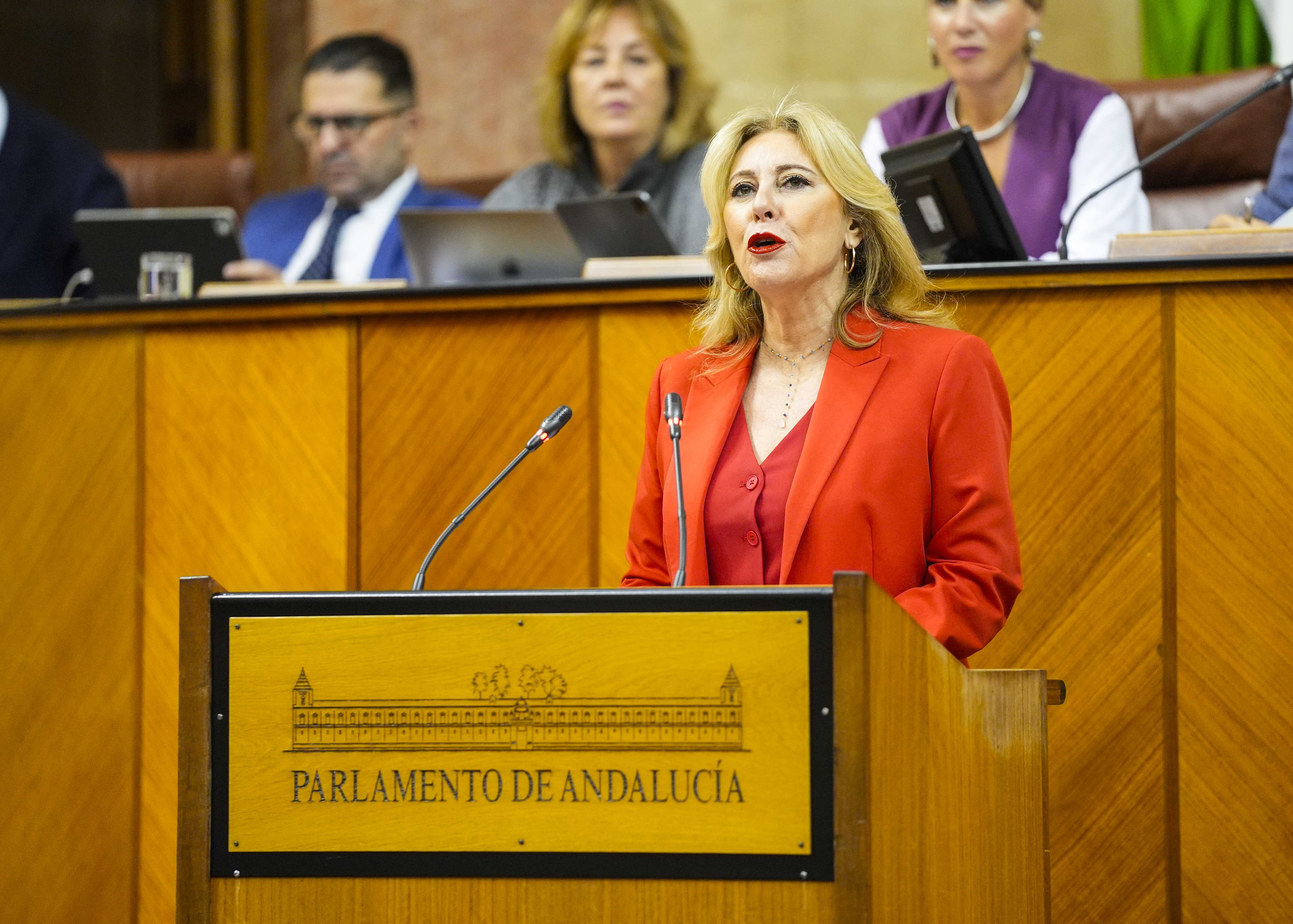  Carolina Espaa, consejera de Economa, Hacienda, Fondos Europeos y Dilogo Social, inicia el debate de la ley del Patrimonio