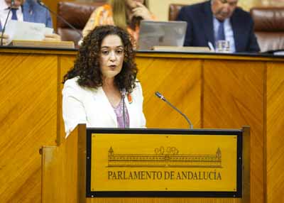  La portavoz Inmaculada Nieto posiciona al grupo Por Andaluca respecto del Proyecto de Ley de Patrimonio  
