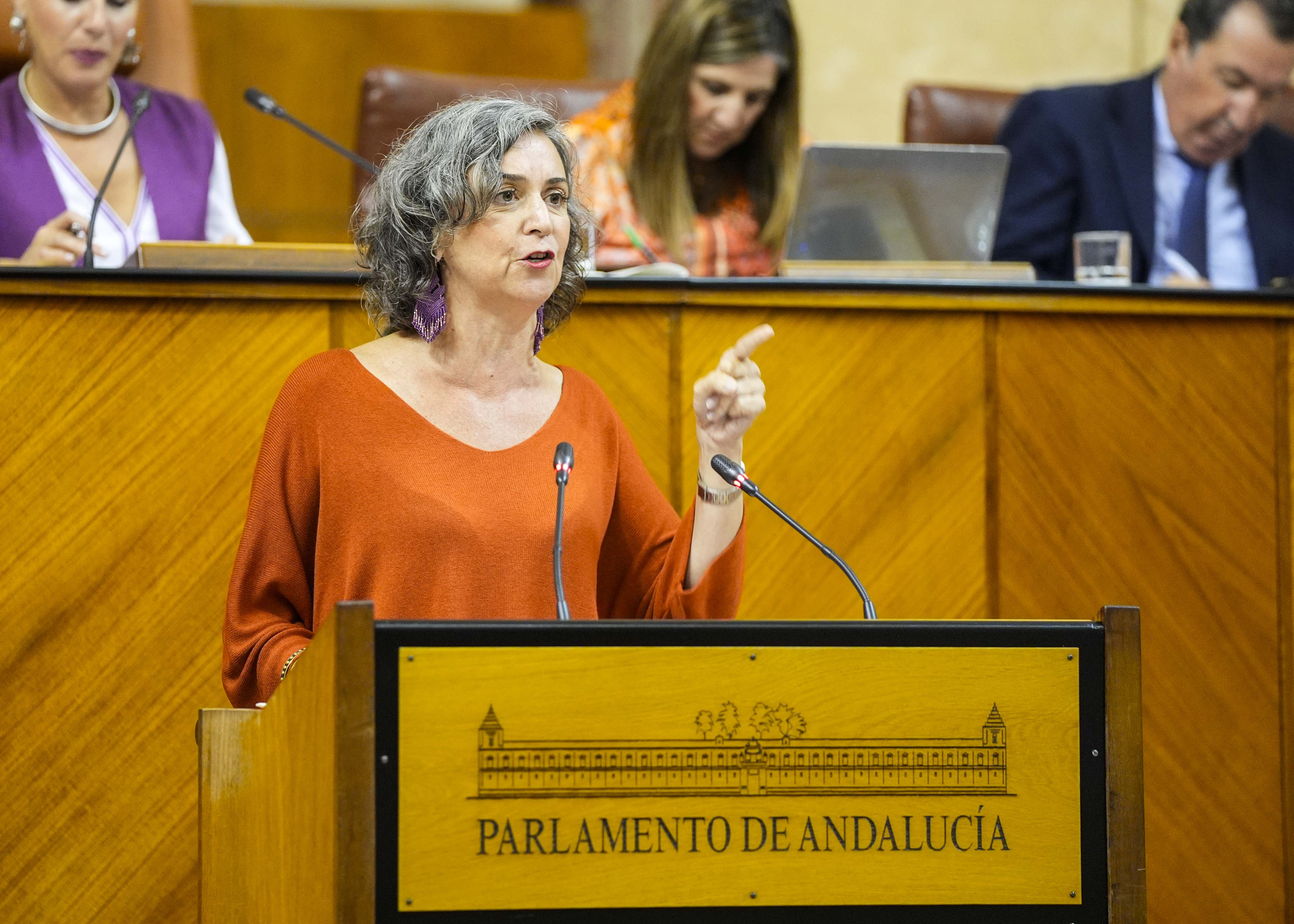  Miren Begoe Iza, del G.P. Mixto-Adelante Andaluca, interviene en el debate de totalidad de la Ley del Patrimonio de la Comunidad Autnoma de Andaluca