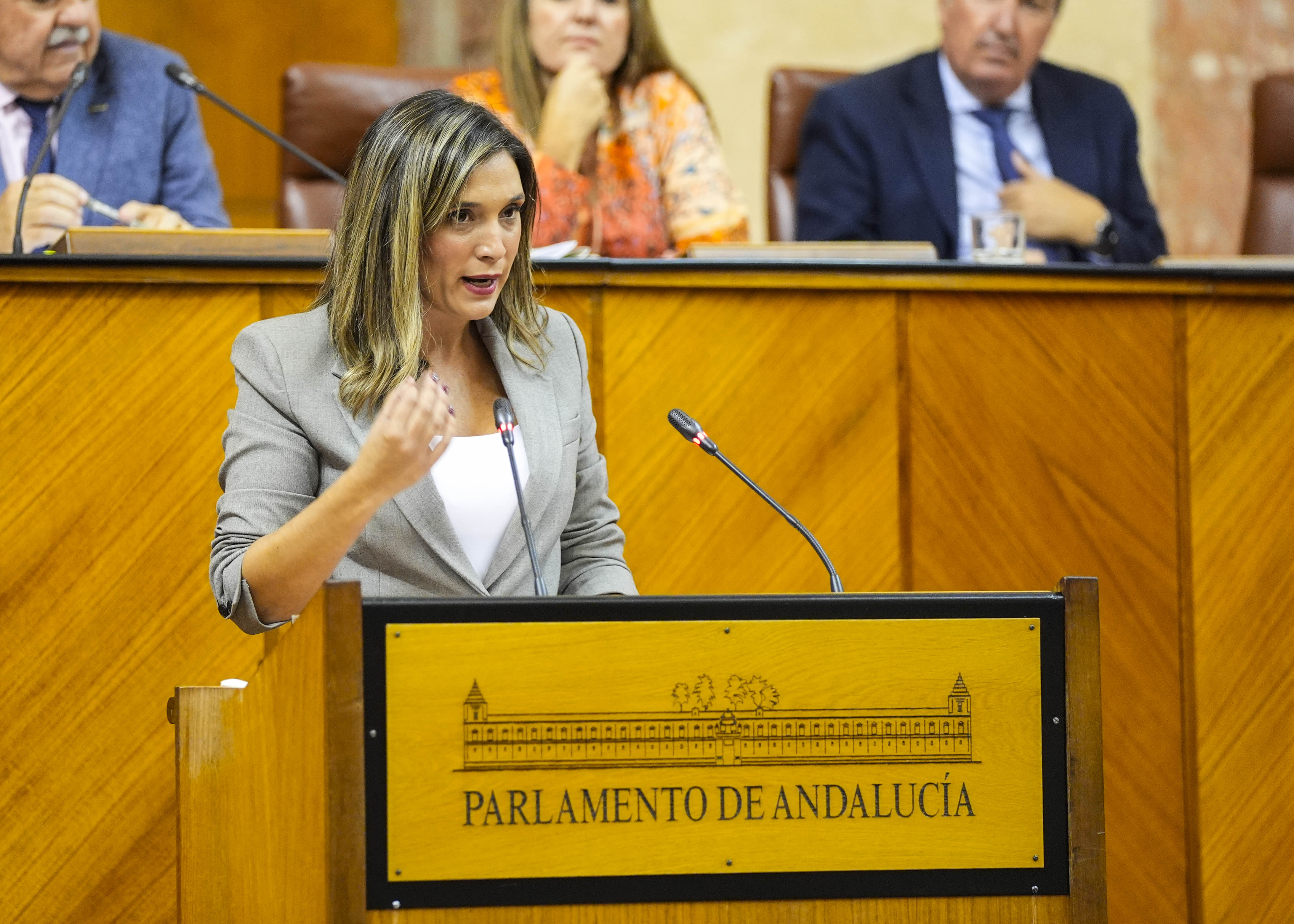 Mara Mrquez, portavoz del Grupo Socialista, expresa la opinin de su grupo parlamentario en el debate general
  
