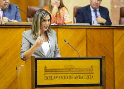 Mara Mrquez, portavoz del Grupo Socialista, expresa la opinin de su grupo parlamentario en el debate general
  