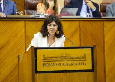  Por el Grupo Socialista, la diputada Mara ngeles Prieto, toma la palabra para explicar las propuestas de resolucin de su grupo parlamentario 