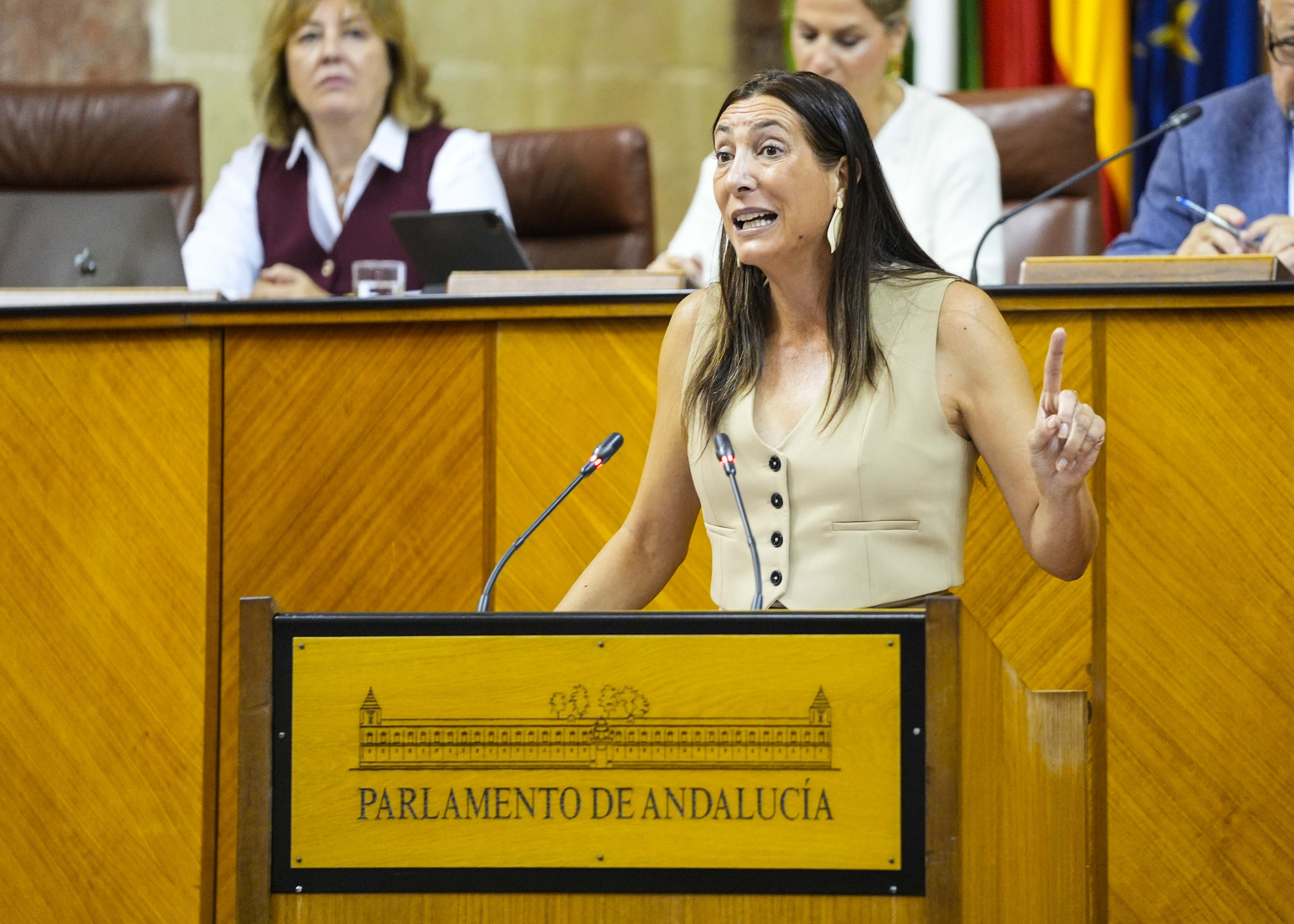 Contesta a la interpelaci�n Loles L�pez, consejera de Inclusi�n Social, Juventud, Familias e Igualdad 