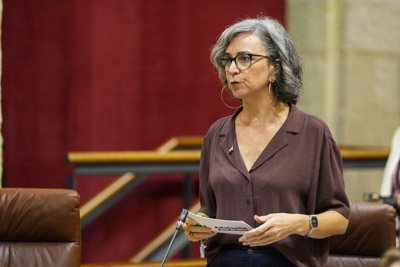  Miren Bego�e Iza, presidenta del G.P. Mixto-Adelante Andaluc�a, pregunta sobre los PTIS (Personal T�cnico de Integraci�n Social) en la provincia de M�laga