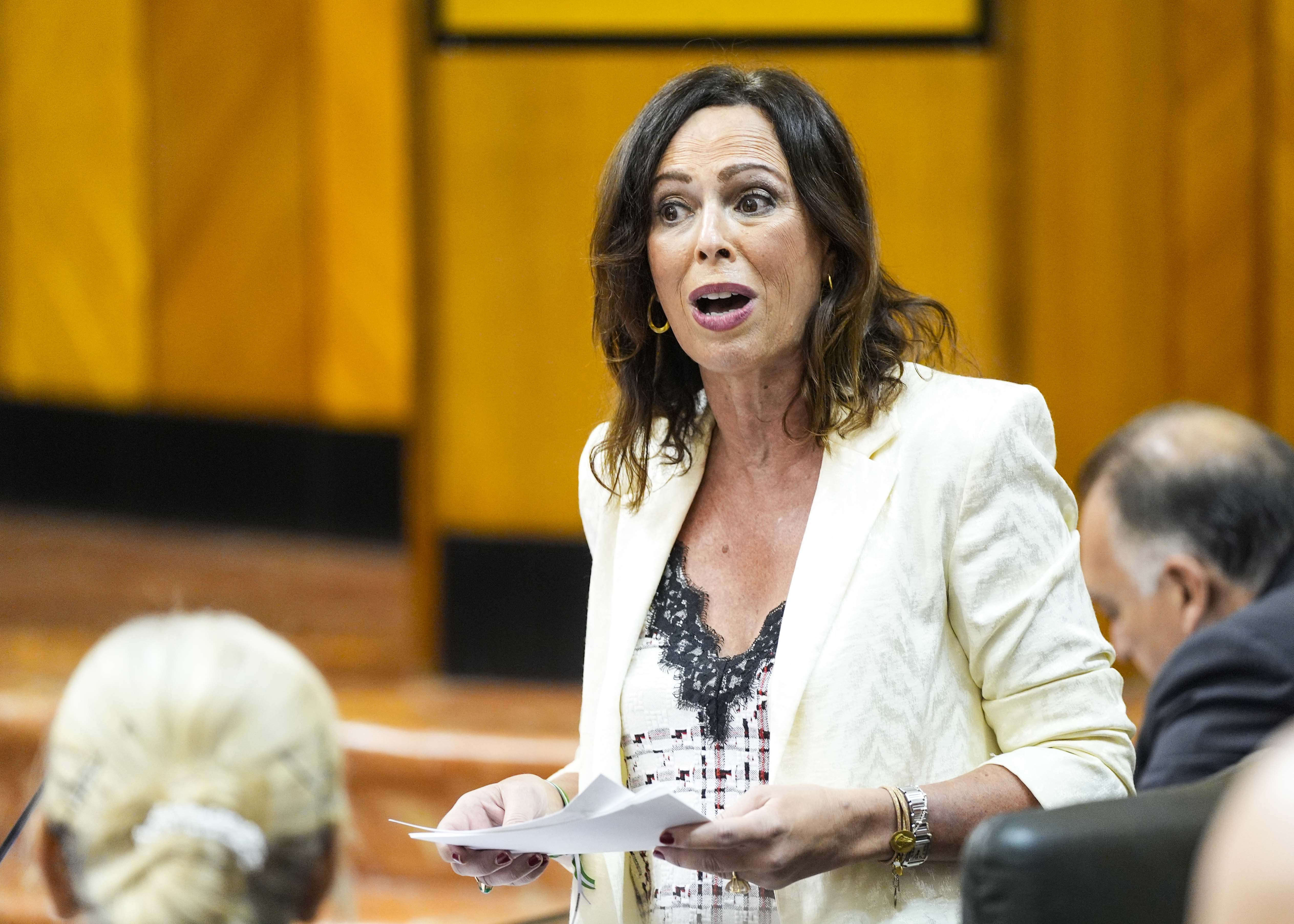 Roc�o D�az, consejera de Fomento, Articulaci�n del Territorio y Vivienda, responde a la cuesti�n de su competencia 