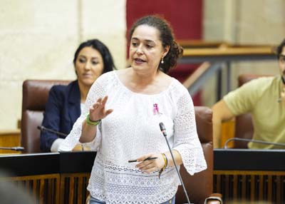   Inmaculada Nieto, portavoz del G.P. Por Andaluc�a, formula una pregunta acerca de la aportaci�n del Gobierno al presente y el futuro de Andaluc�a 