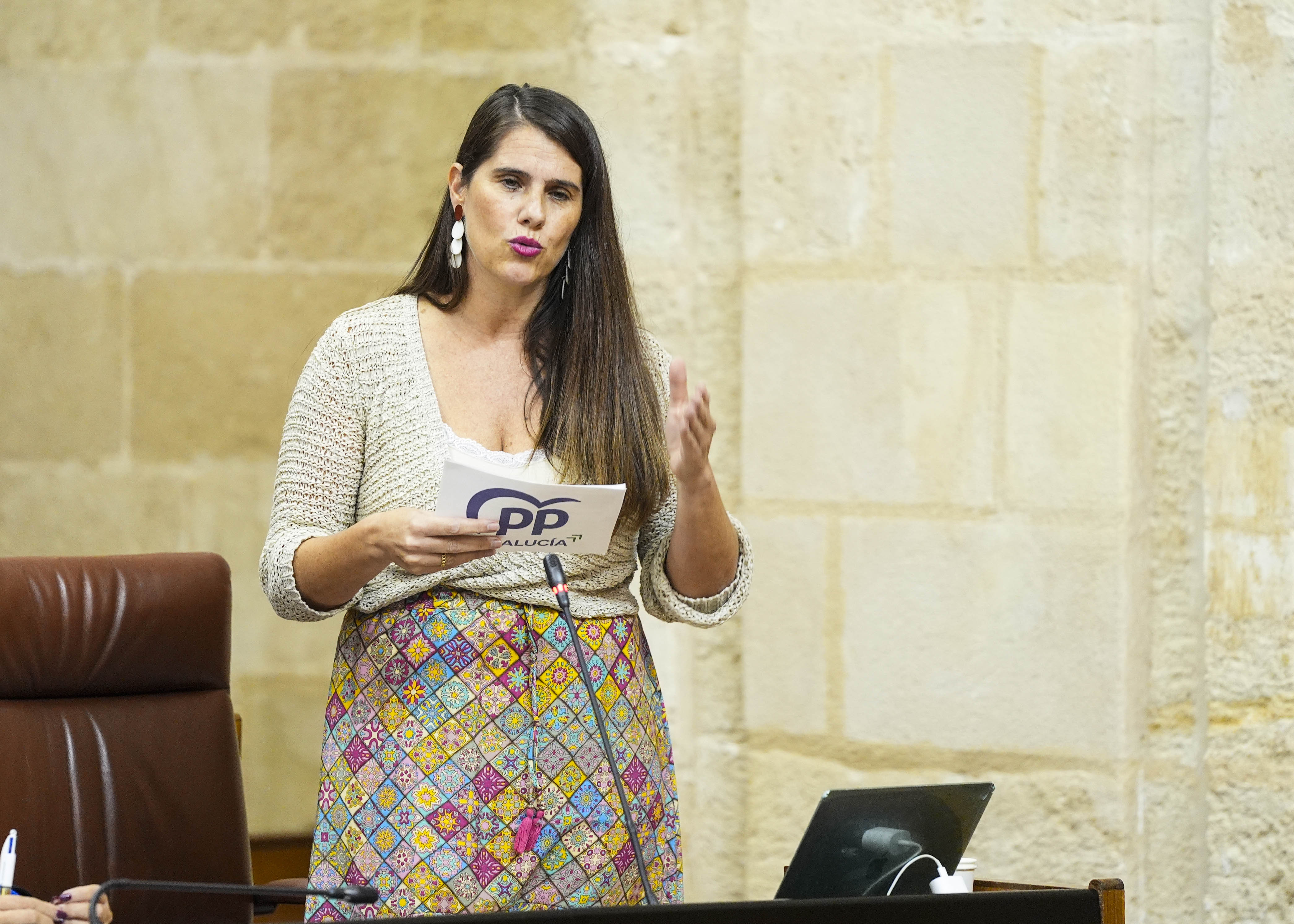 Por el Grupo Popular, Araceli Cabello plantea una cuesti�n relativa a las alegaciones a la planificaci�n el�ctrica 2025-2030 