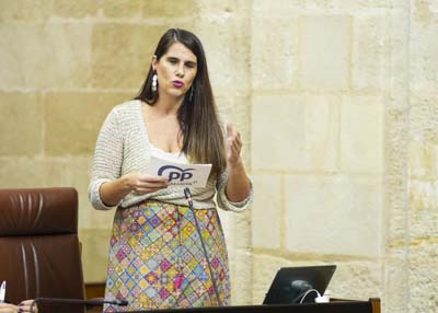 Por el Grupo Popular, Araceli Cabello plantea una cuesti�n relativa a las alegaciones a la planificaci�n el�ctrica 2025-2030 