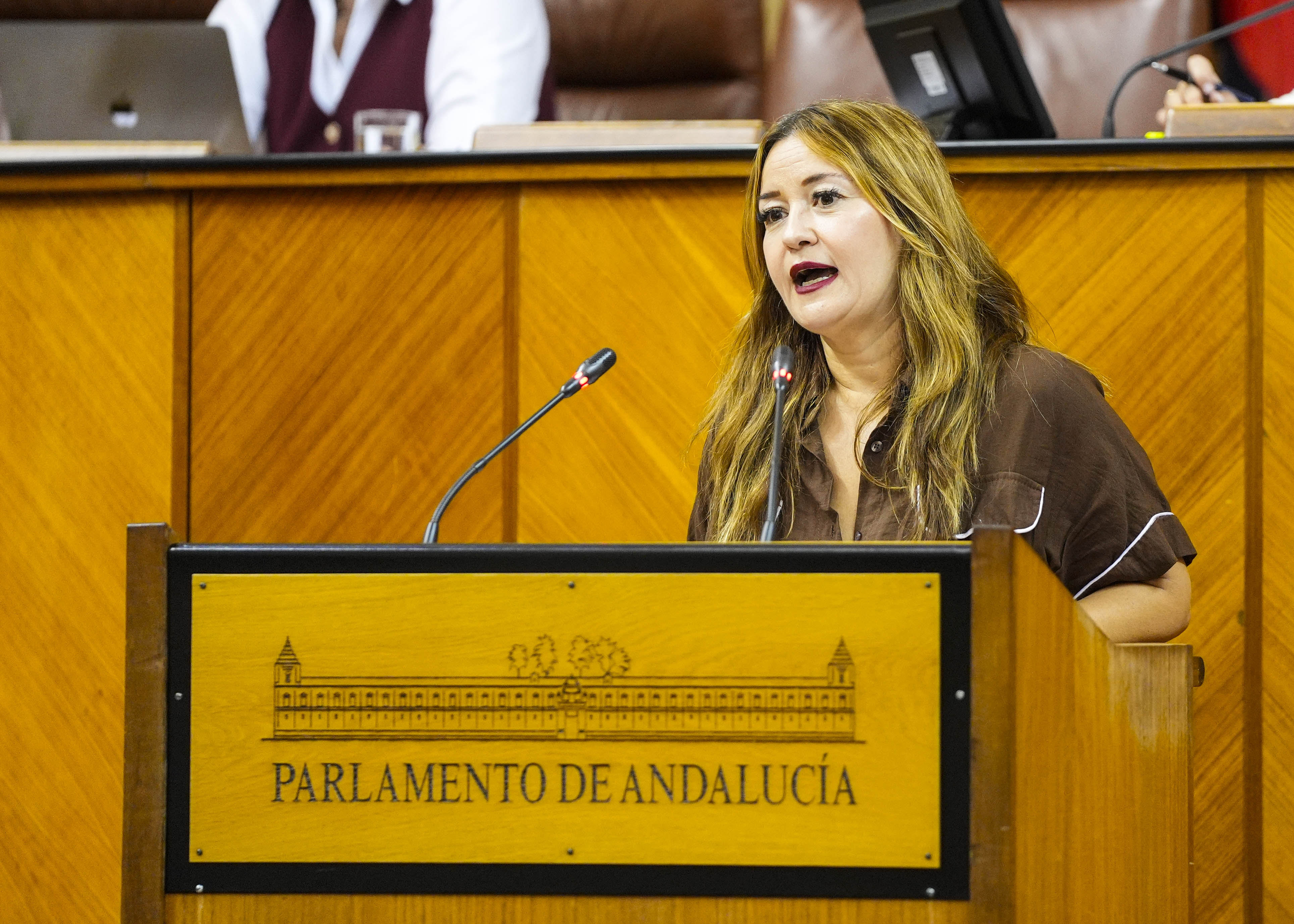 Por el G.P. Socialista, Ver�nica P�rez defiende una PNLP relacionada con la formaci�n profesional p�blica en Andaluc�a y limitar la privatizaci�n 