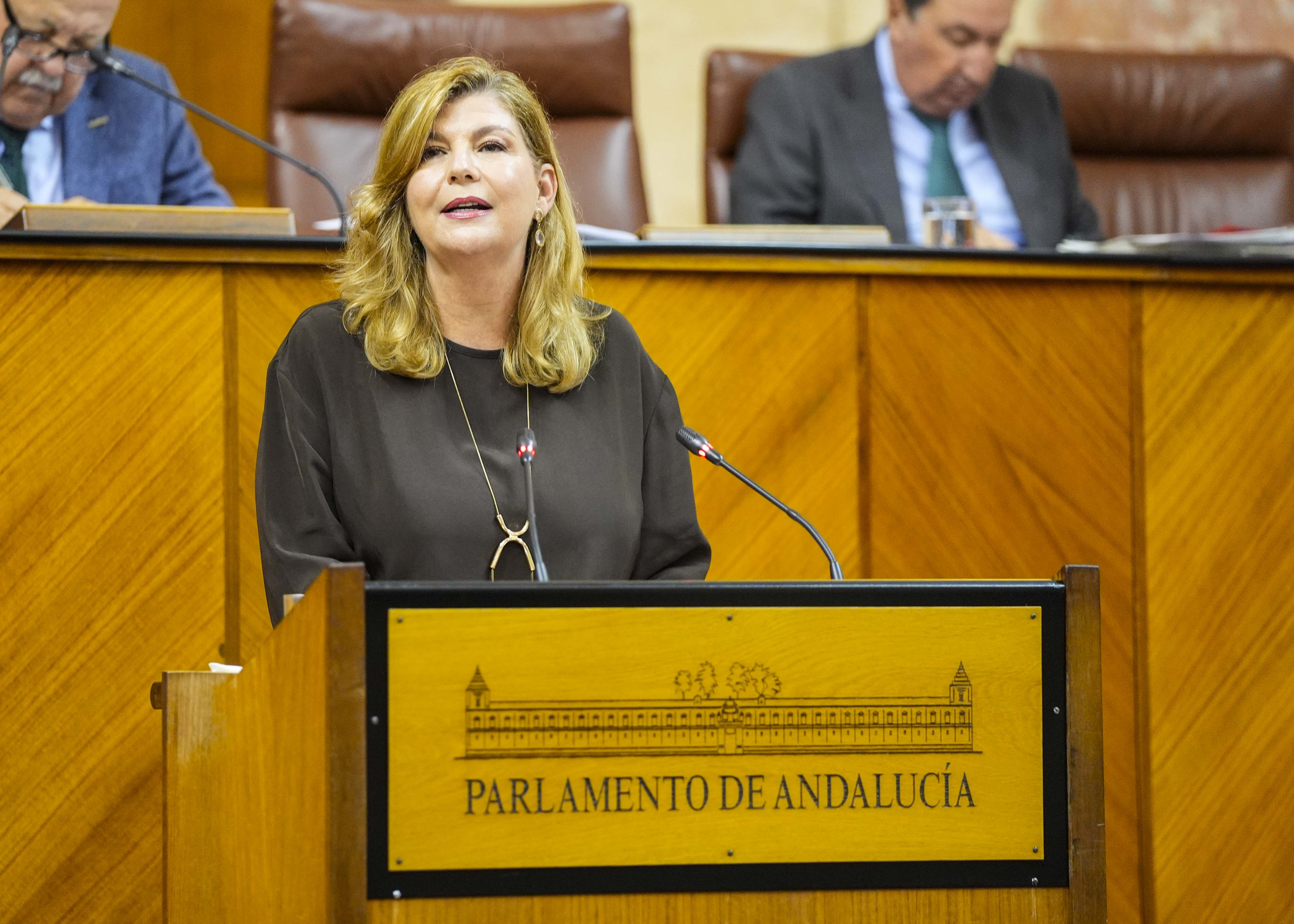  Berta Sof�a Centeno, del G.P. Popular, argumenta una PNLP sobre la deuda que el Estado mantiene con Andaluc�a en materia de infraestructuras y actuaciones h�dricas 