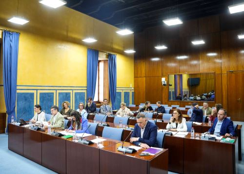  Miembros de la Comisin de Sostenibilidad y Medio Ambiente