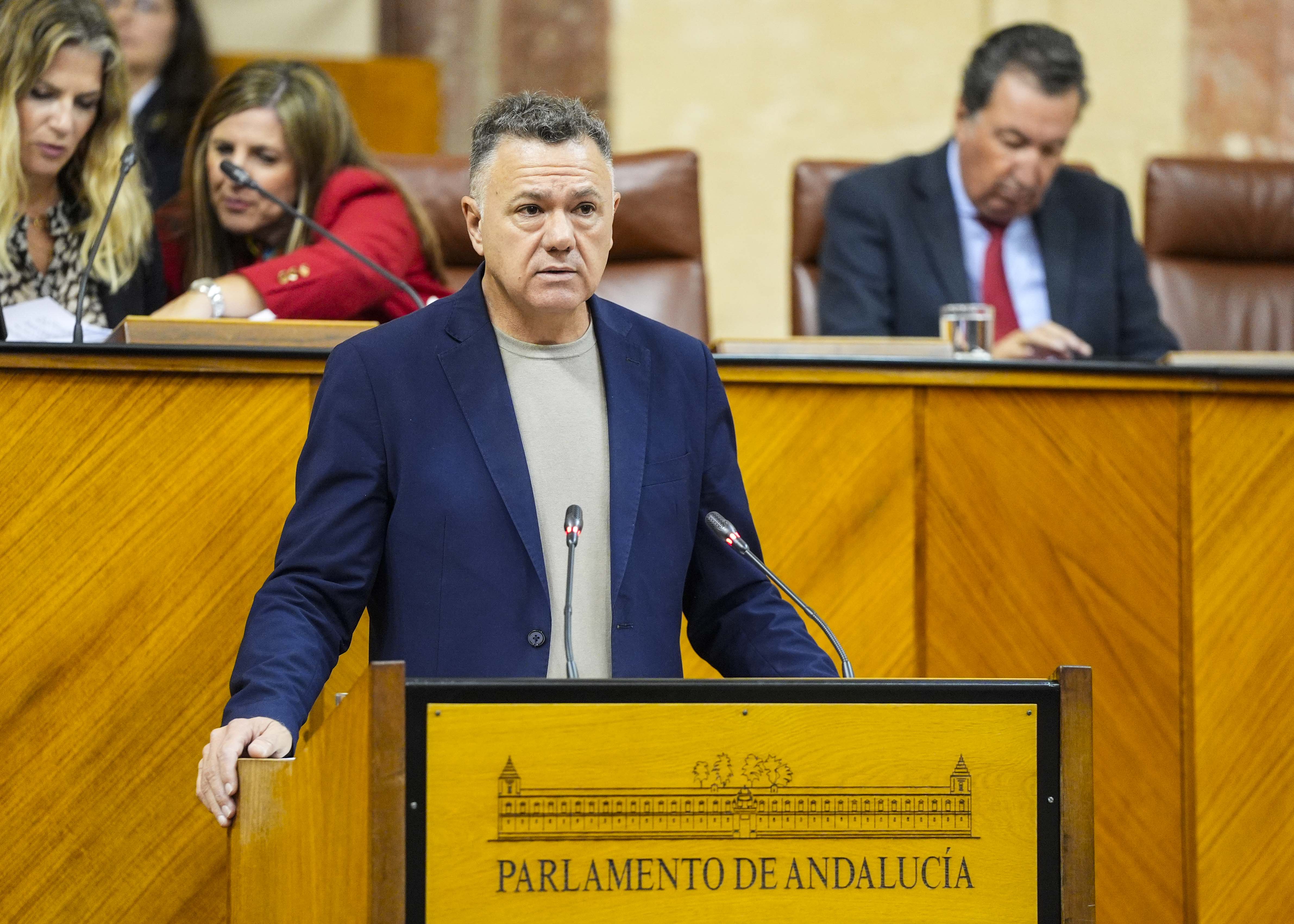 Juan Antonio Delgado, portavoz de Por Andaluca, posiciona a su grupo parlamentario respecto del decreto ley 