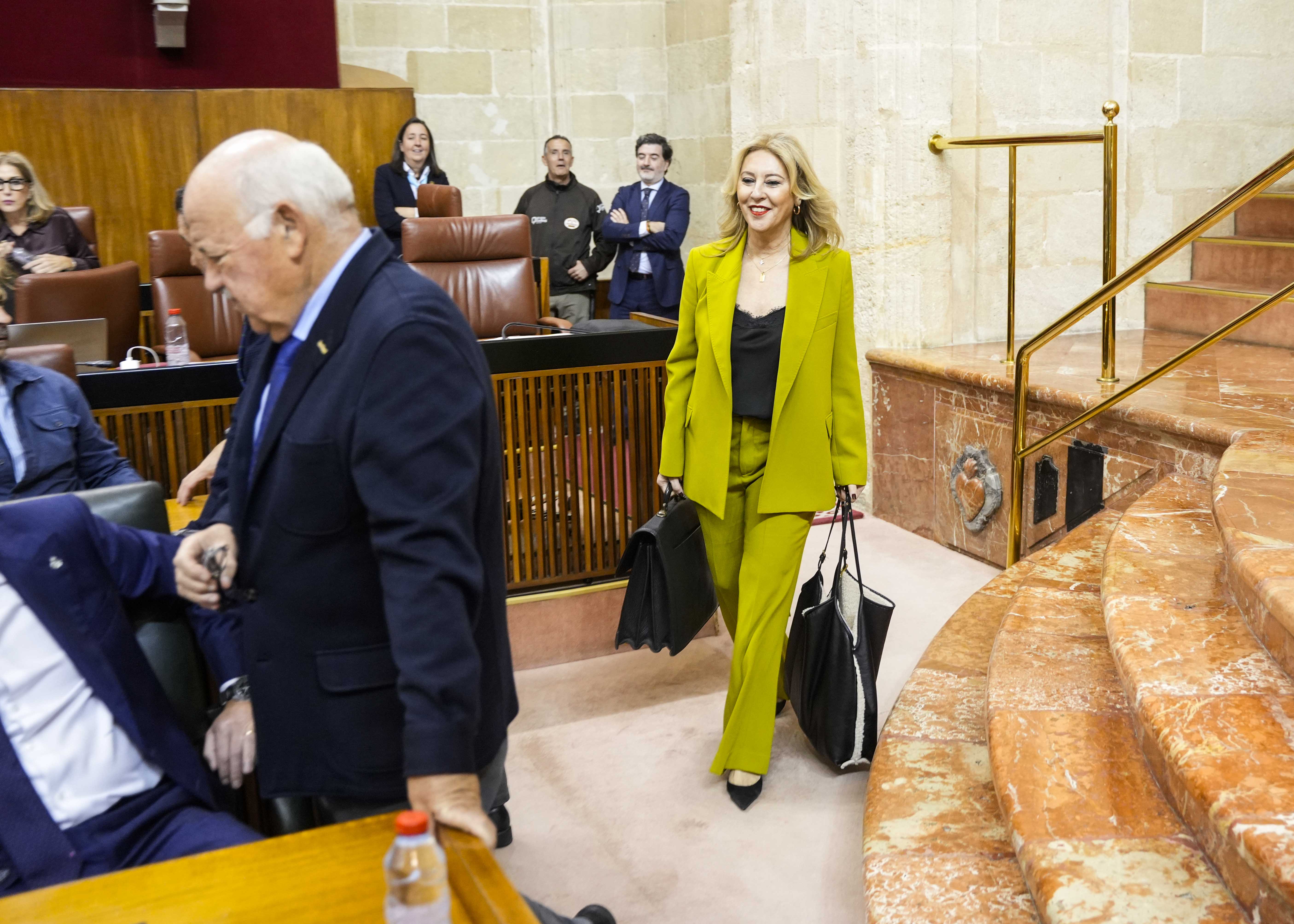 Carolina Espaa, consejera de Economa, Hacienda, Fondos Europeos y Dilogo Social, a su llegada 