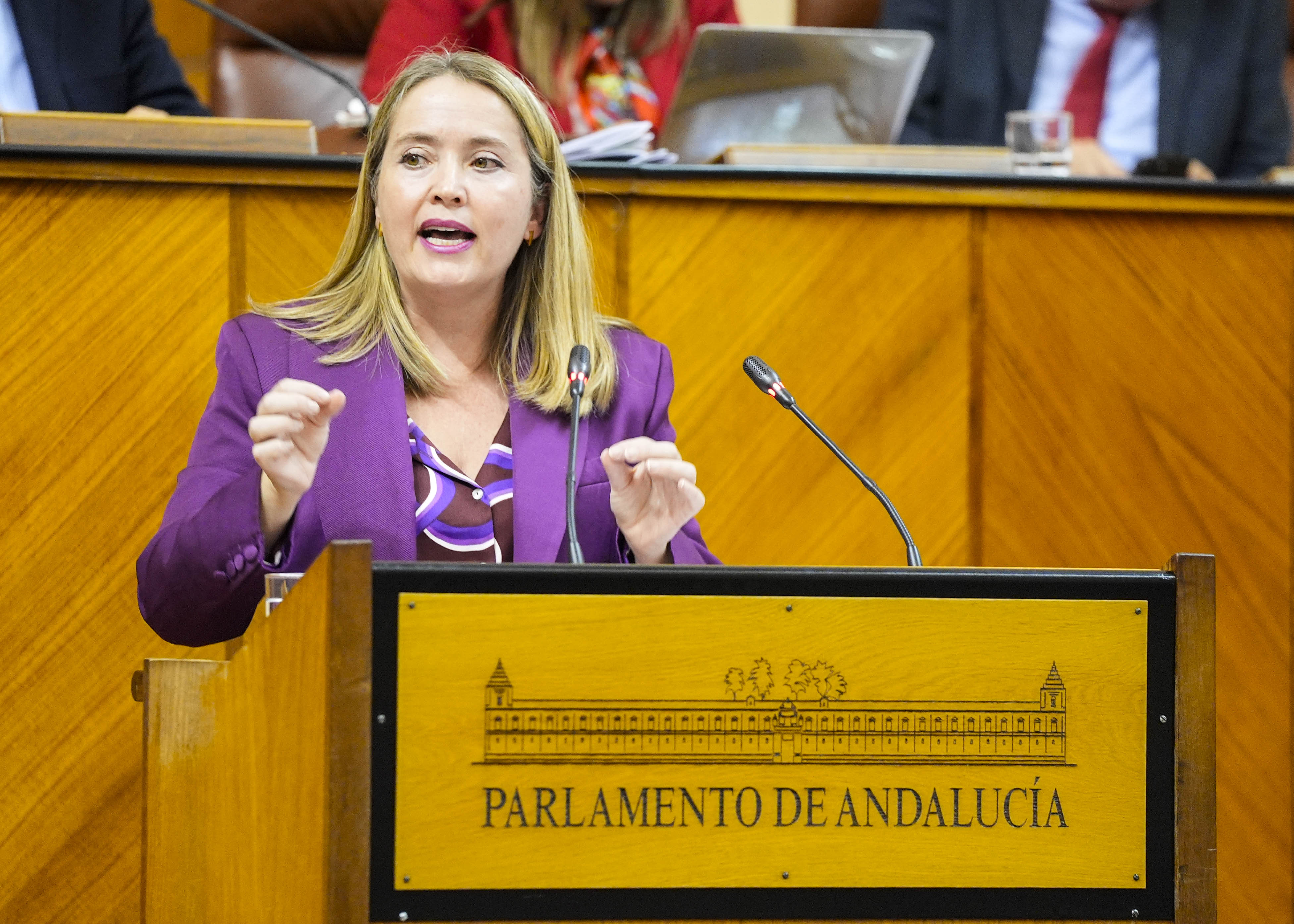  Alicia Murillo, del Grupo Parlamentario Socialista, defiende la enmienda de totalidad al Proyecto de Ley del Presupuesto presentada por su grupo 