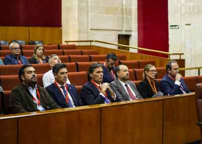 Tribuna de pblico y autoridades durante el debate del Proyecto de Ley Universitaria para Andaluca 
