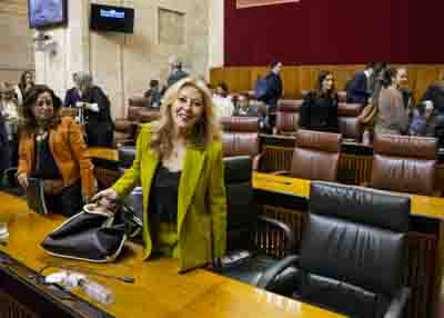 Carolina Espaa, consejera de Economa, a la finalizacin de la sesin plenaria 
