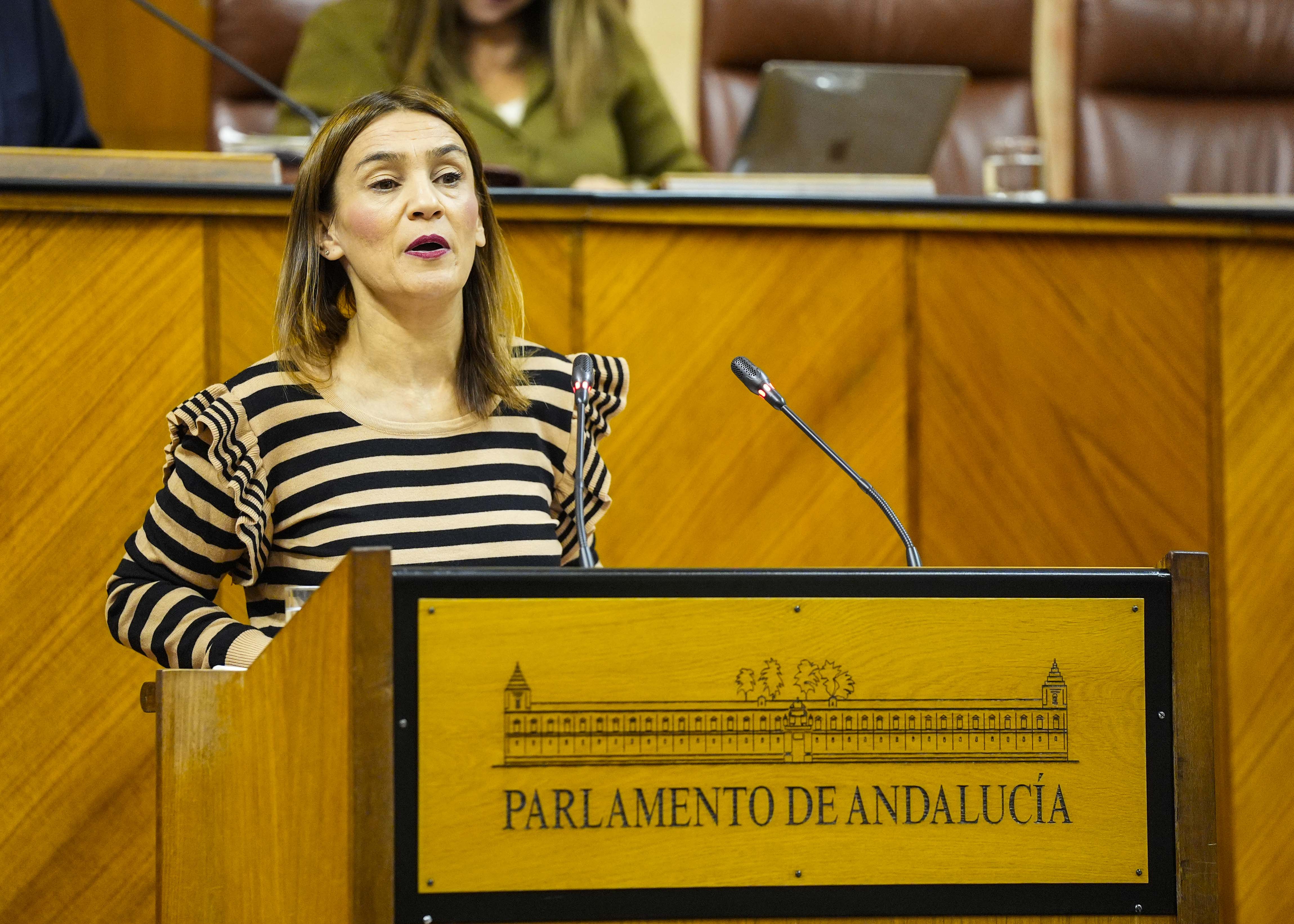 La diputada socialista Olga Manzano reanuda el pleno con una mocin relativa a poltica general en materia de violencia de gnero 