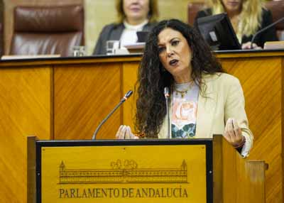 Ana Mara Ruiz, del G.P. Vox en Andaluca, presenta una interpelacin relativa a poltica general en materia de inclusin social 