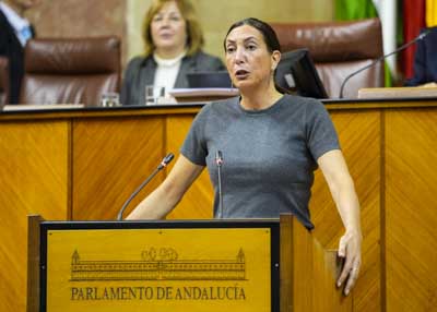 Responde a la interpelacin la consejera de Inclusin Social, Juventud, Familias e Igualdad, Loles Lpez 